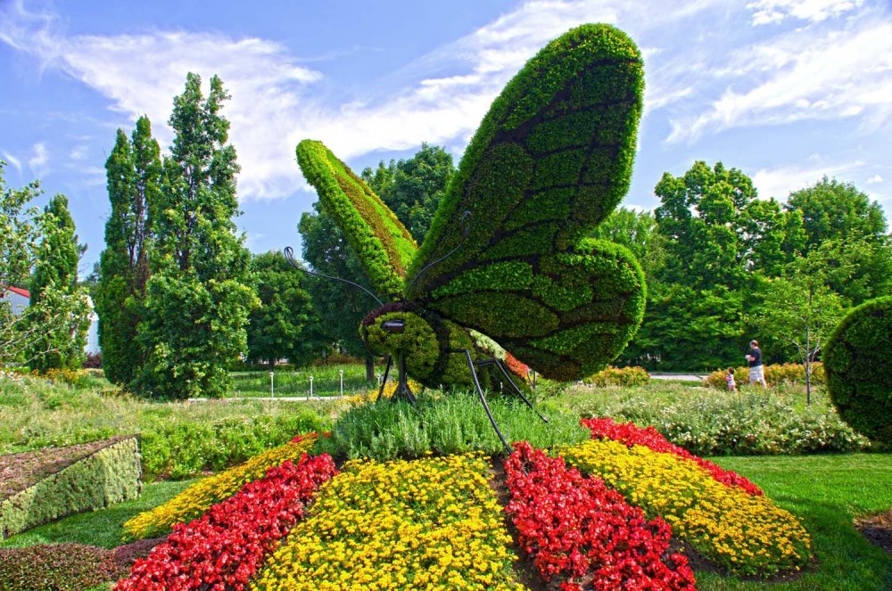 Монреальский Ботанический сад розарий