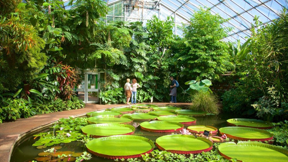 Королевский Ботанический сад Эдинбурга китайский сад