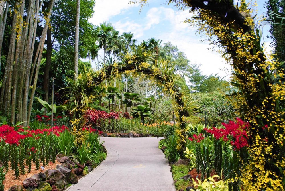 Ботанический сад Сантьяго