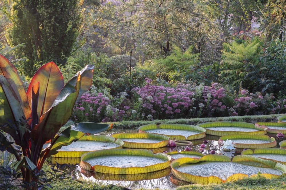 Королевский Ботанический сад Катманду