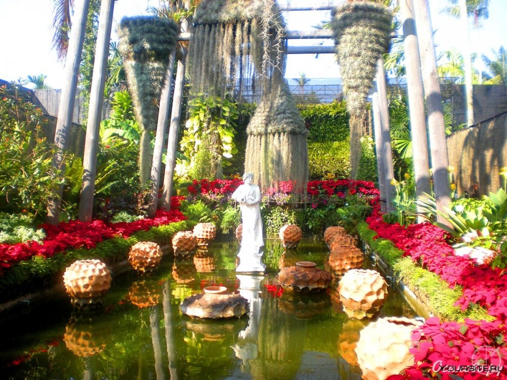 Сад орхидей в Паттайе Нонг Нуч