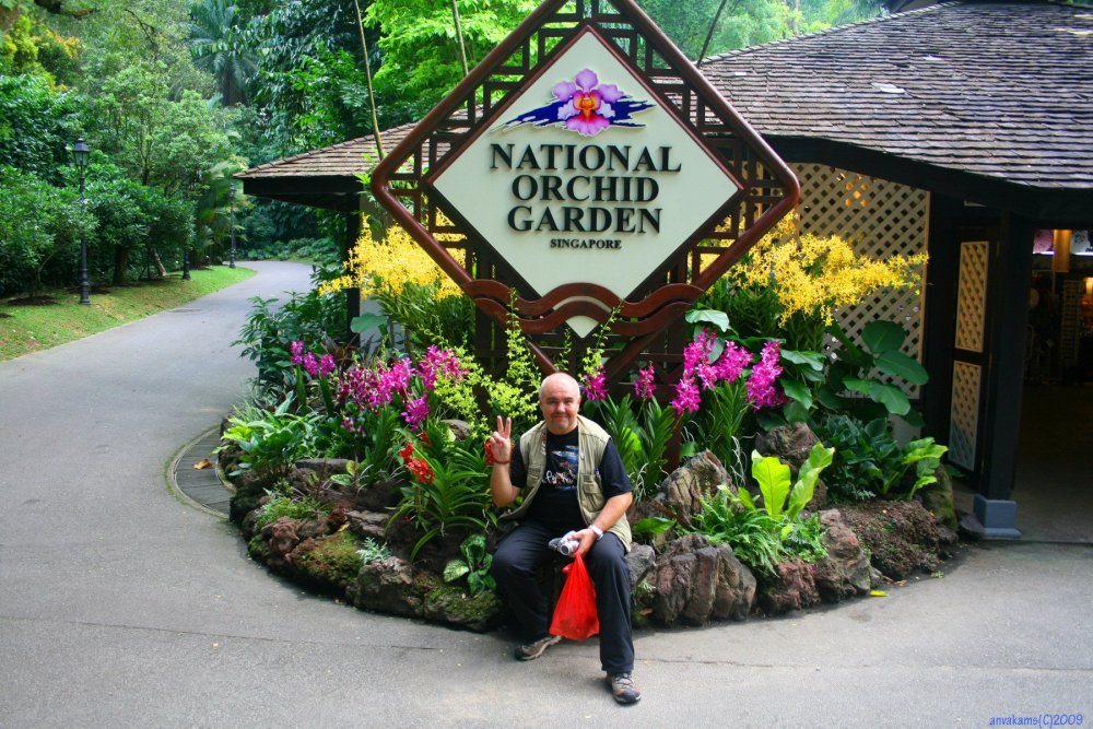 The Garden 168 Thailand