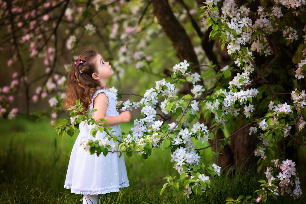 Дети в цветущих садах