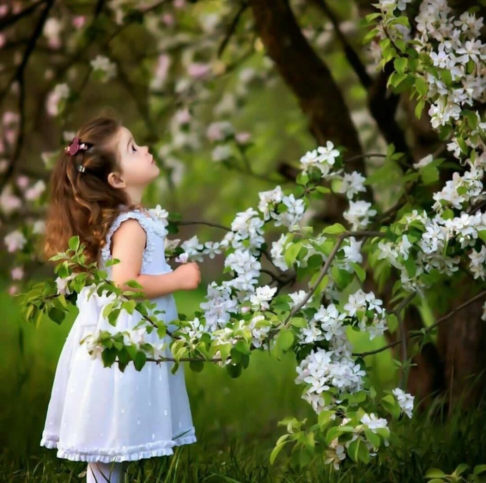 Дети в цветущих садах