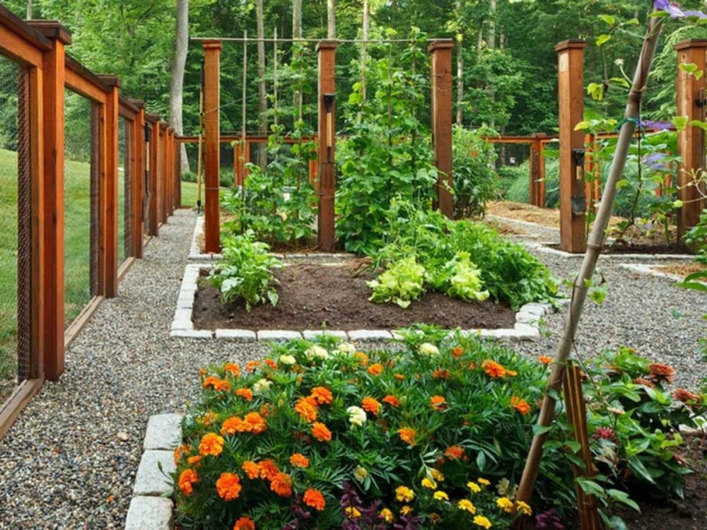 Зонирование сада и огорода