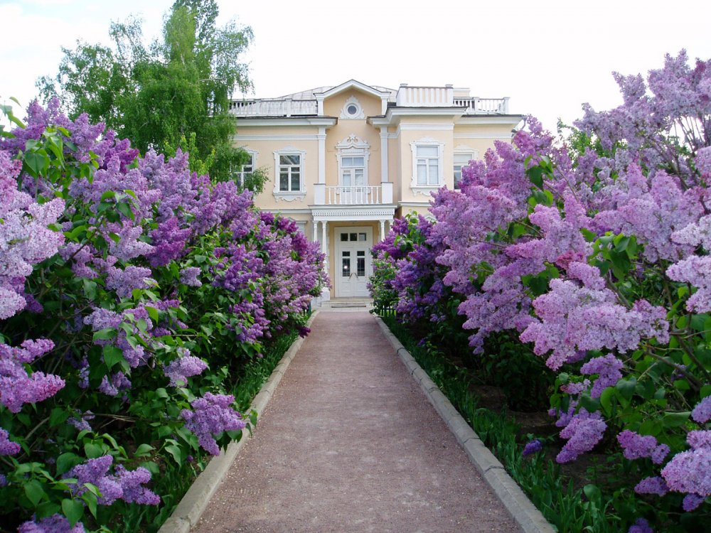 Музей усадьба Шолохова