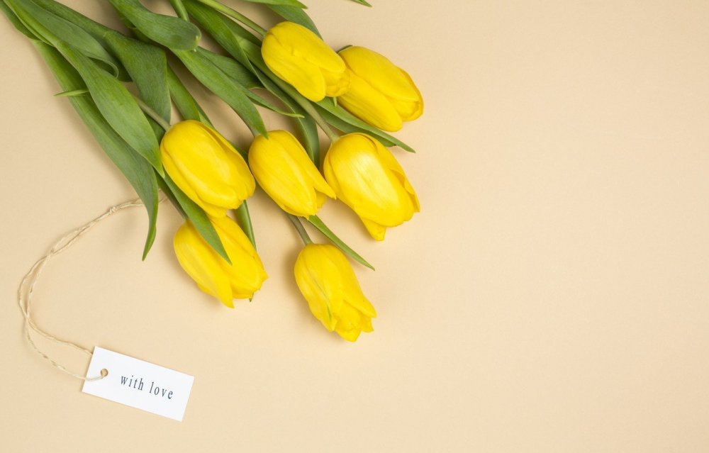 Фотофон желтые тюльпаны