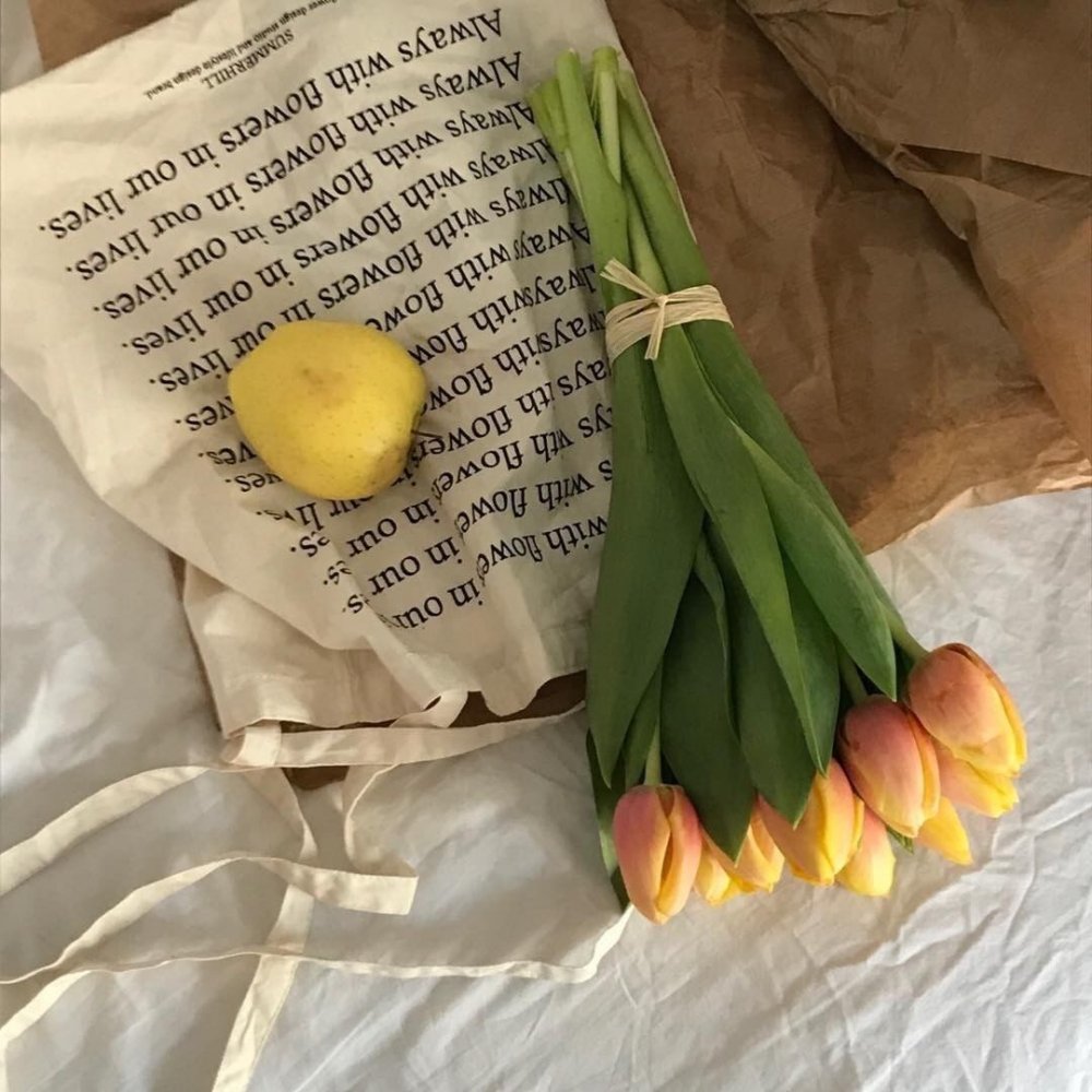 Желтые тюльпаны на аллее