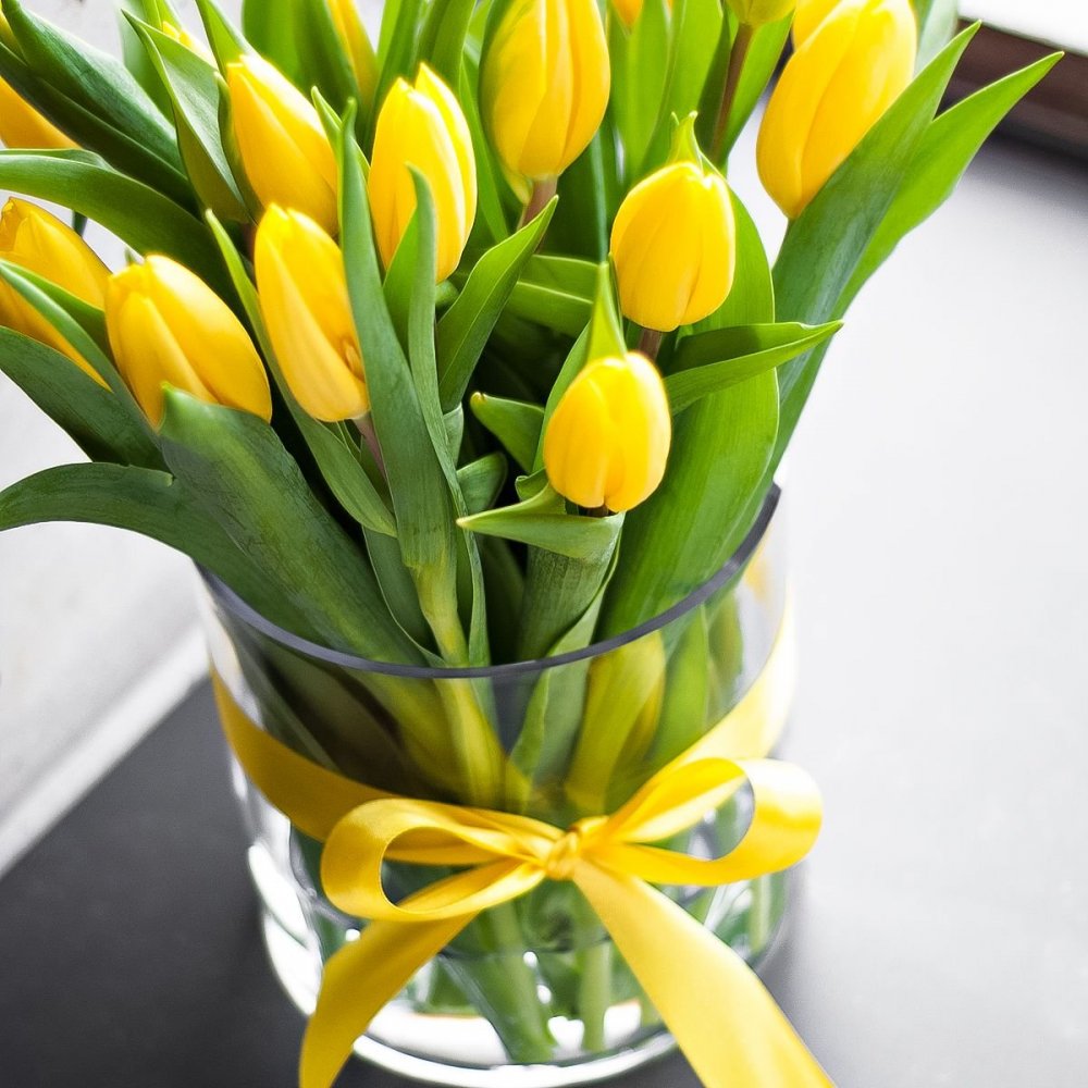 Желтые тюльпаны Эстетика