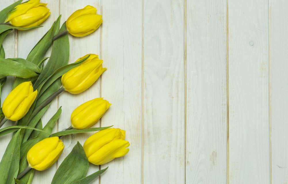 Желтые тюльпаны на досках