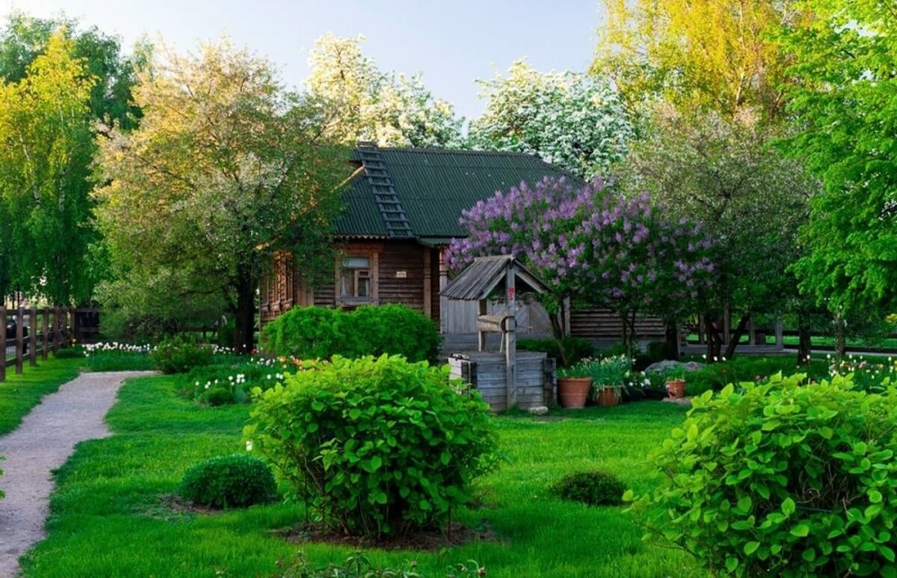 Цветущие сады Подмосковья: лучшие места для фотосессий весной