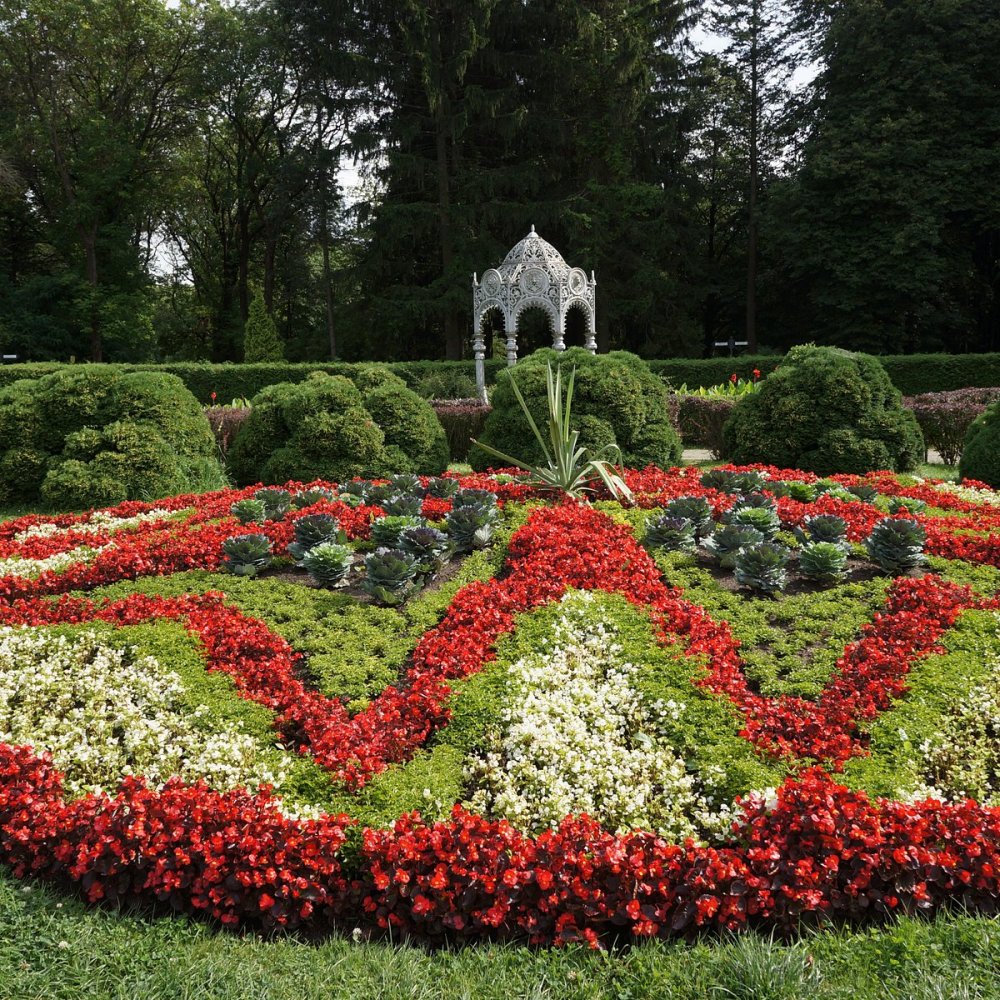 Ботанический сад Белоруссии