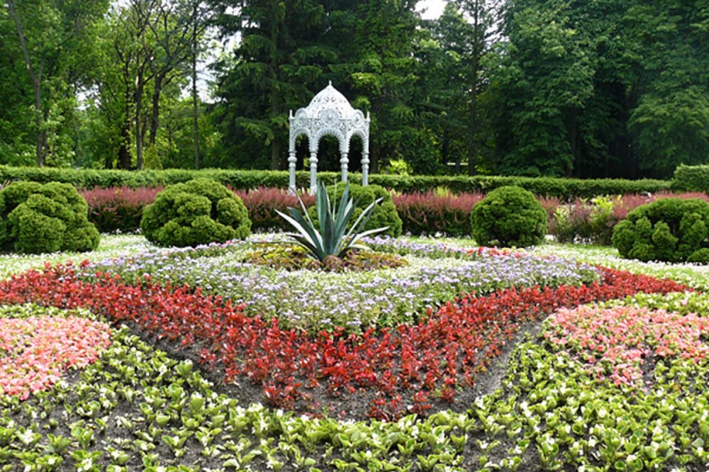 Ботанический сад в Минске официальный сайт