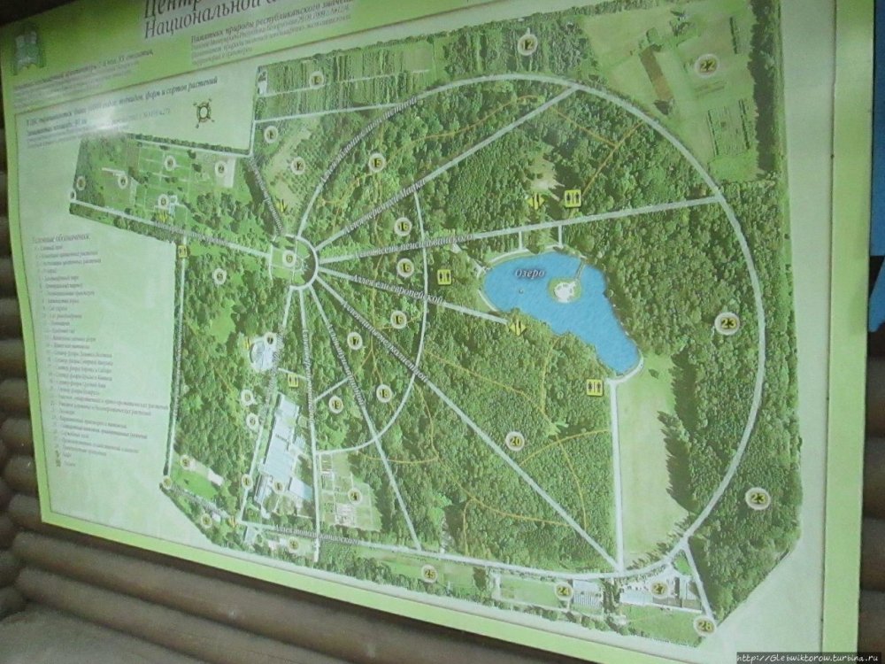 Ботанический сад Москва