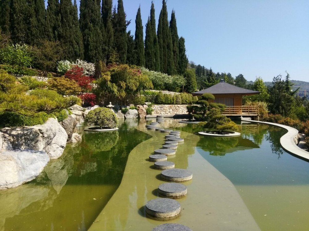 Мрия Ялта японский сад