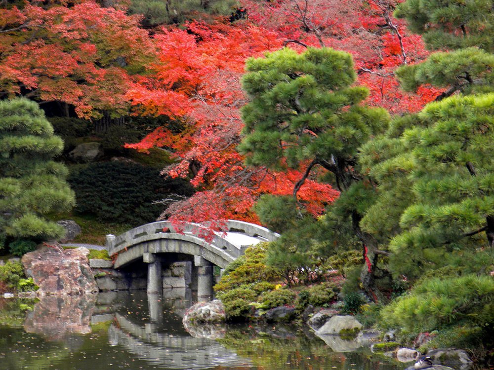Сады Императорского дворца Японии