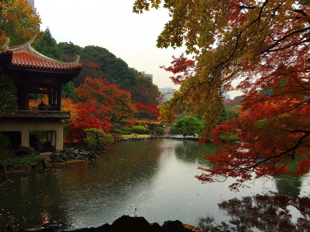 Императорский парк Синдзюку в Токио