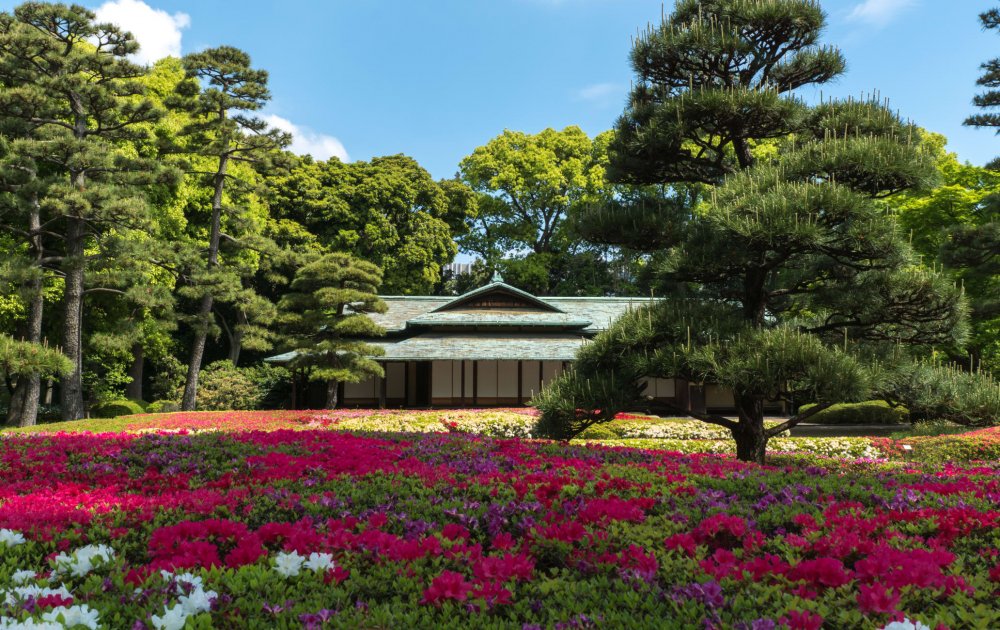 Национальный сад Синдзюку-гёэн