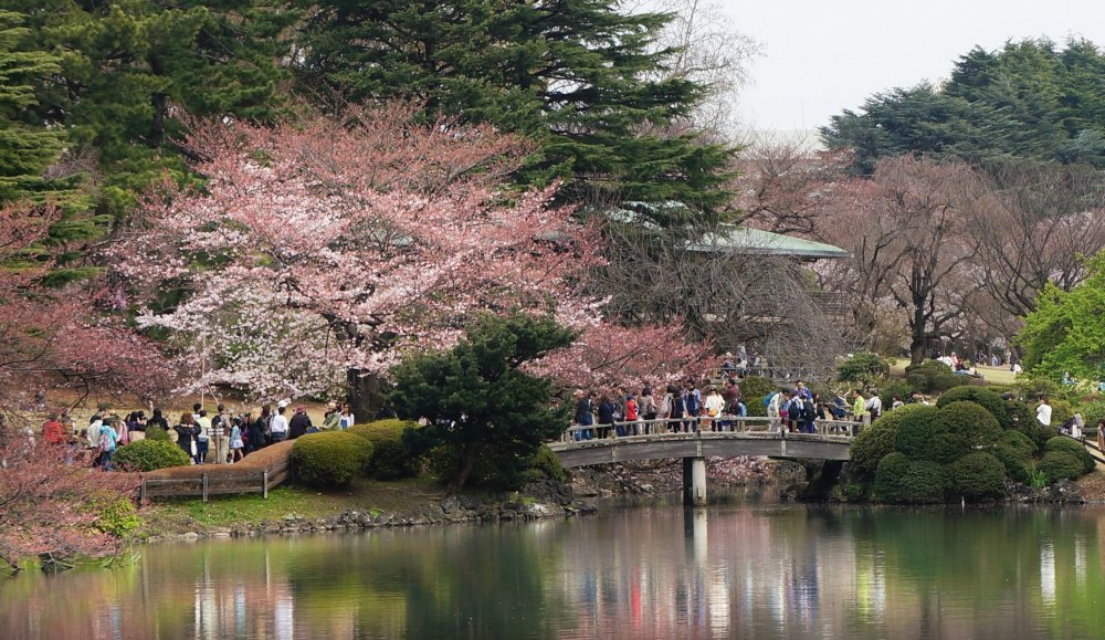 Синдзюку-гёэн – Императорский парк.