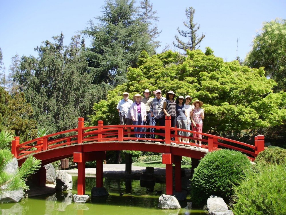 Японский сад Тюмень Ива