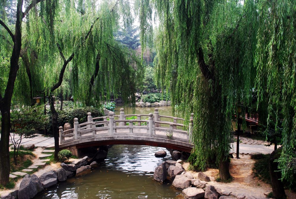 Японские арки в саду