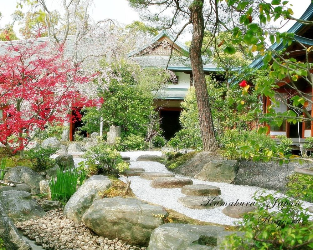 Контраст в японском саду