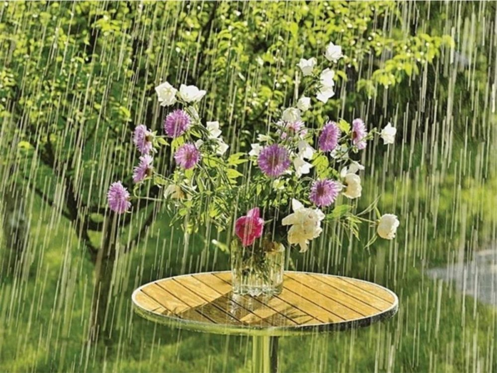 Летний ливень в саду