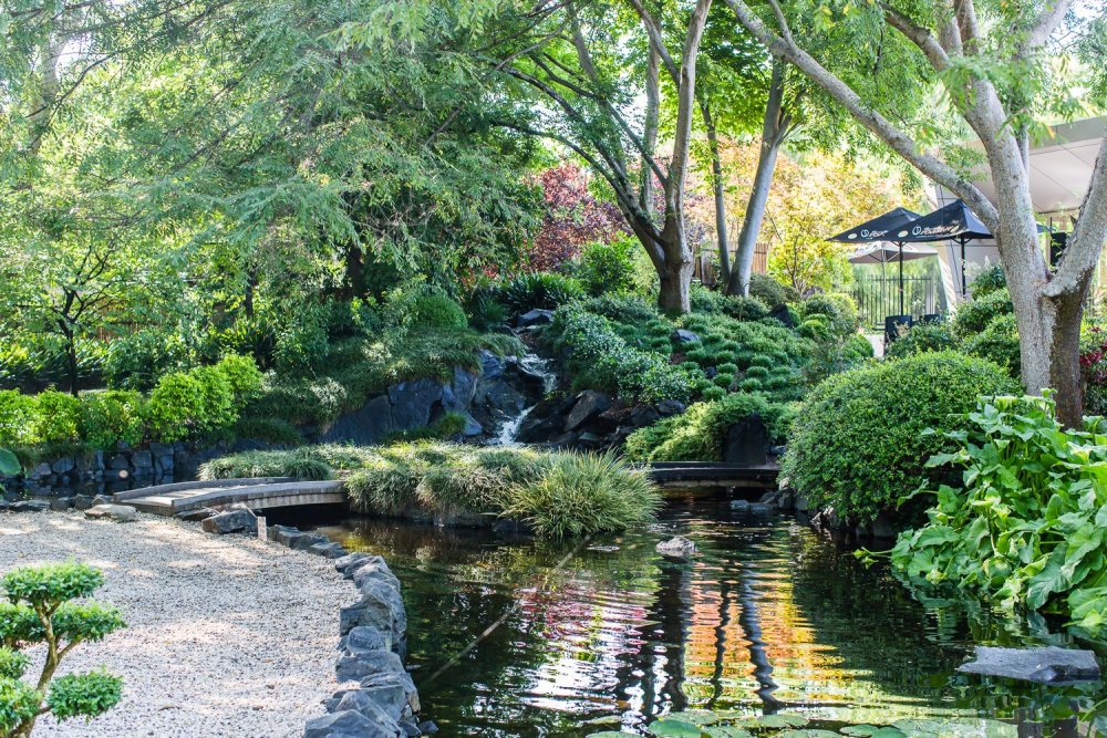 Японский сад в Сан Хосе