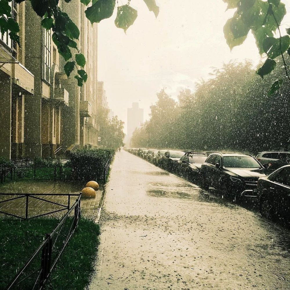 Дождливое лето в городе