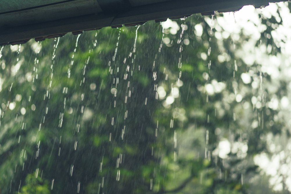 Летний дождь за окном