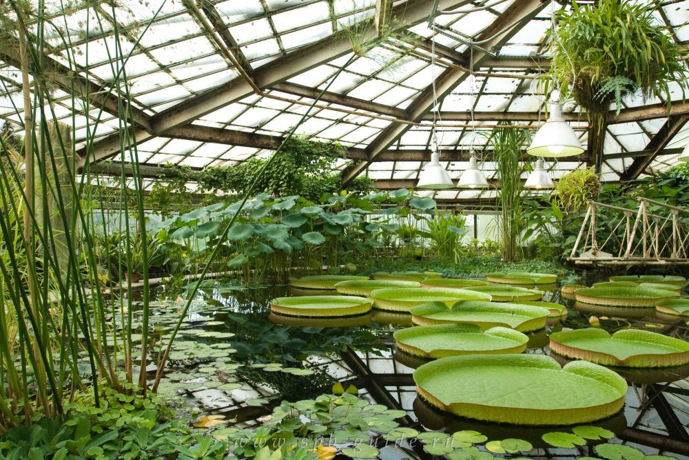 Ботанический сад Петра Великого в Санкт-Петербурге