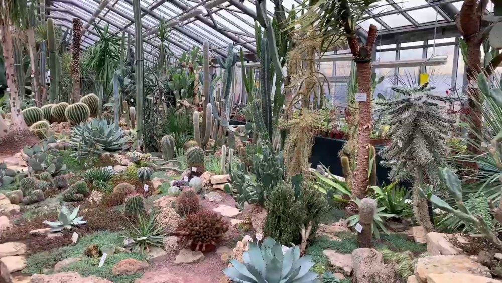 Ботанический сад Берлин