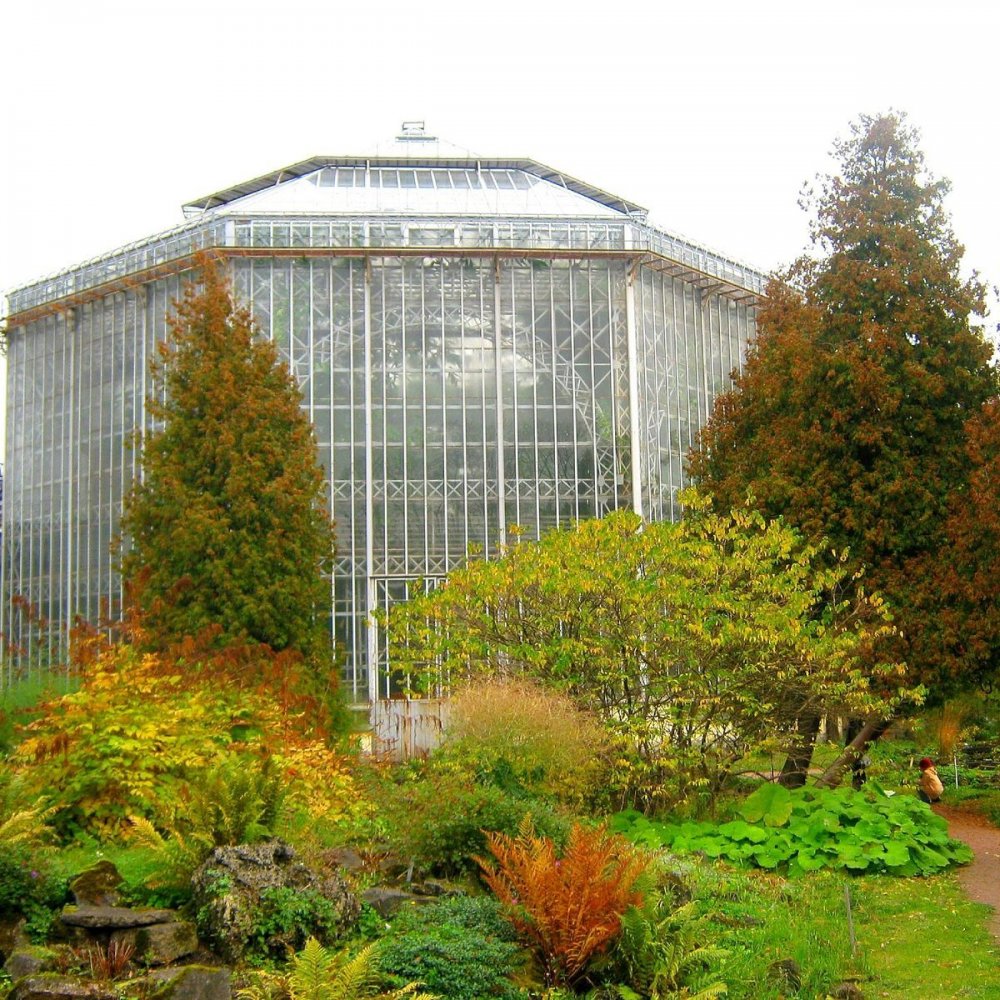 Ботанический сад в Дагестане