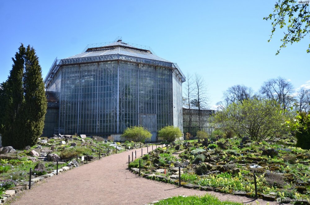Петербург Ботанический сад Петра Великого