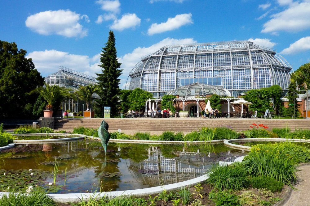 Азалии в Ботаническом саду Петра Великого