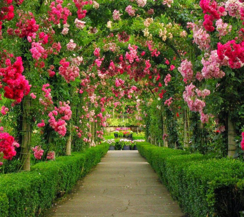 Сады Бутчартов сад роз