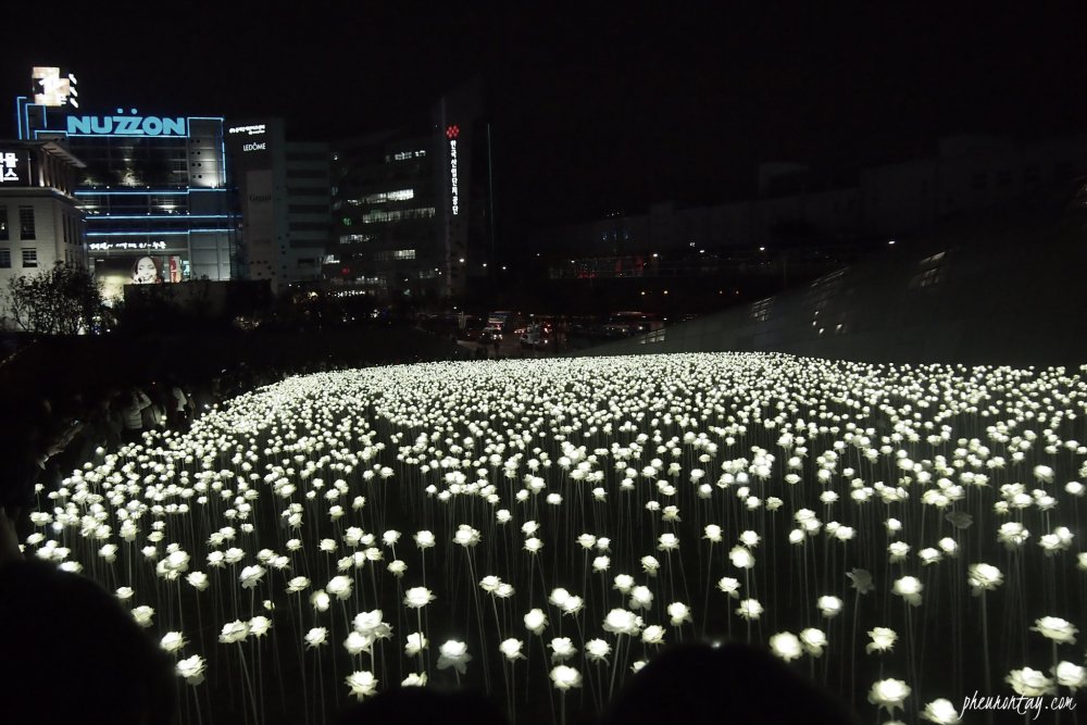 Сеул Южная Корея парк роз