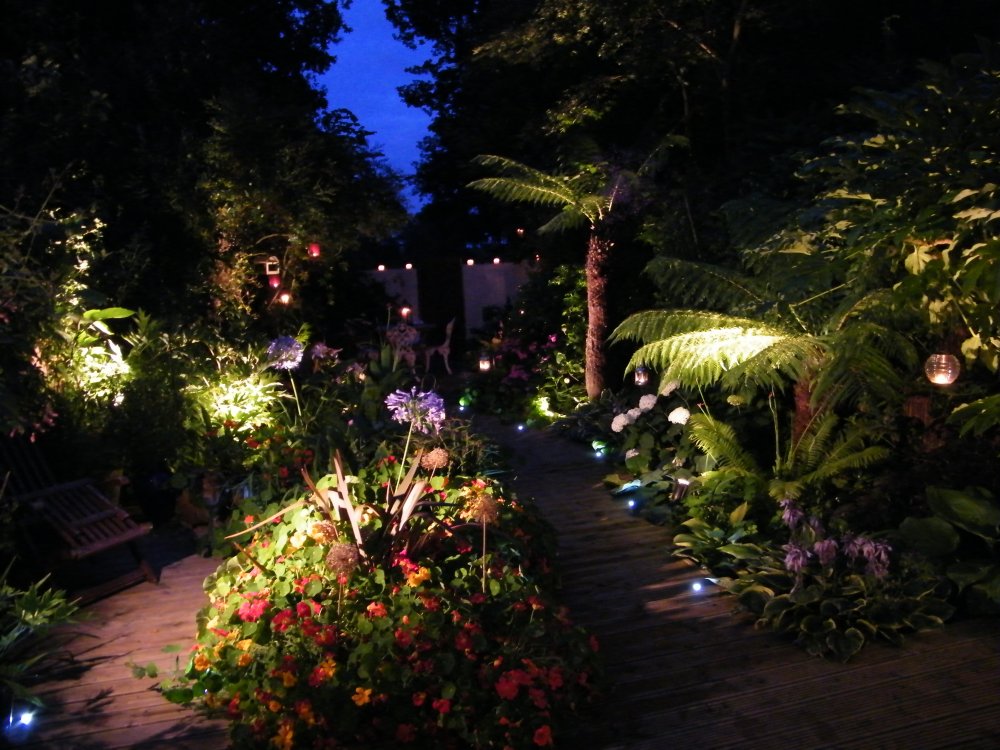 Ботанический сад ночью