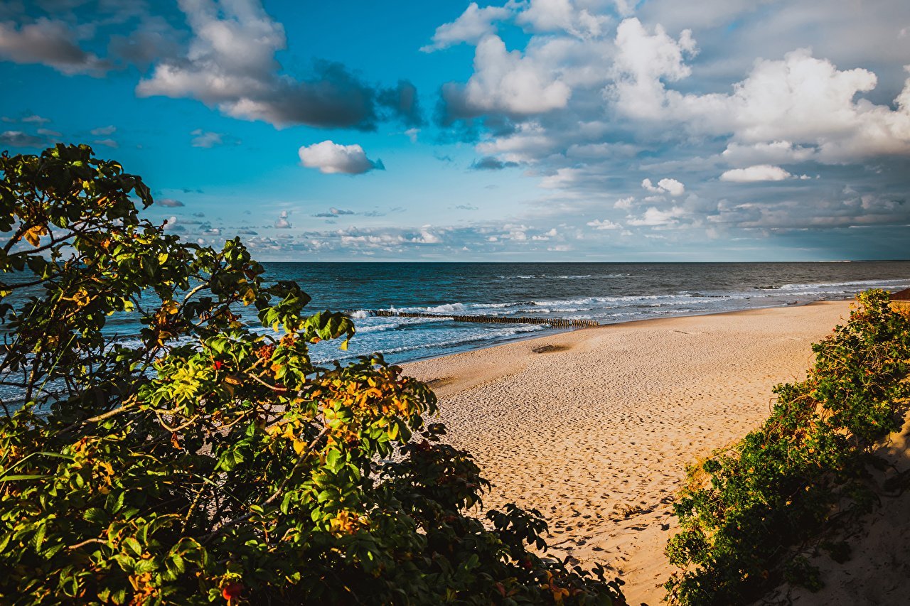 Пляж зеленоградска калининградской области фото