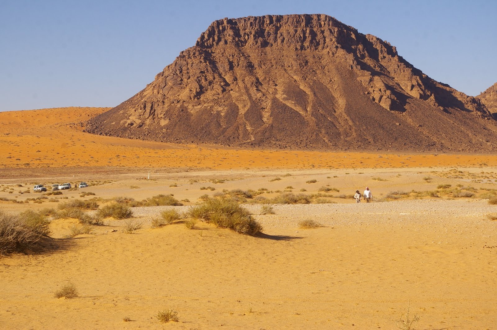 Самая большая по площади пустыня земли. Пустыня Нефуд. Пустыни Аравийского полуострова. Аравийский полуостров Саудовская Аравия. Пустыни большой Нефуд.