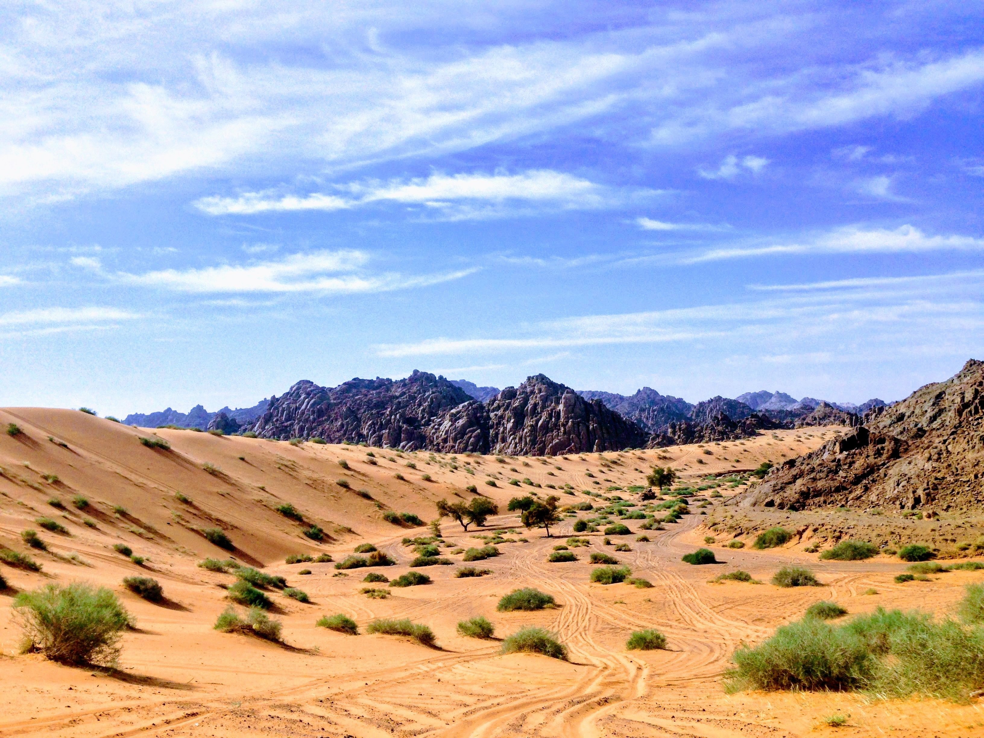 Реки саудовской аравии. Пустыня малый Нефуд. Саудовская Аравия пустыня Нефуд. Саудовская Аравия пустыня руб-Эль-Хали. Пустыня Аравийского полуострова.