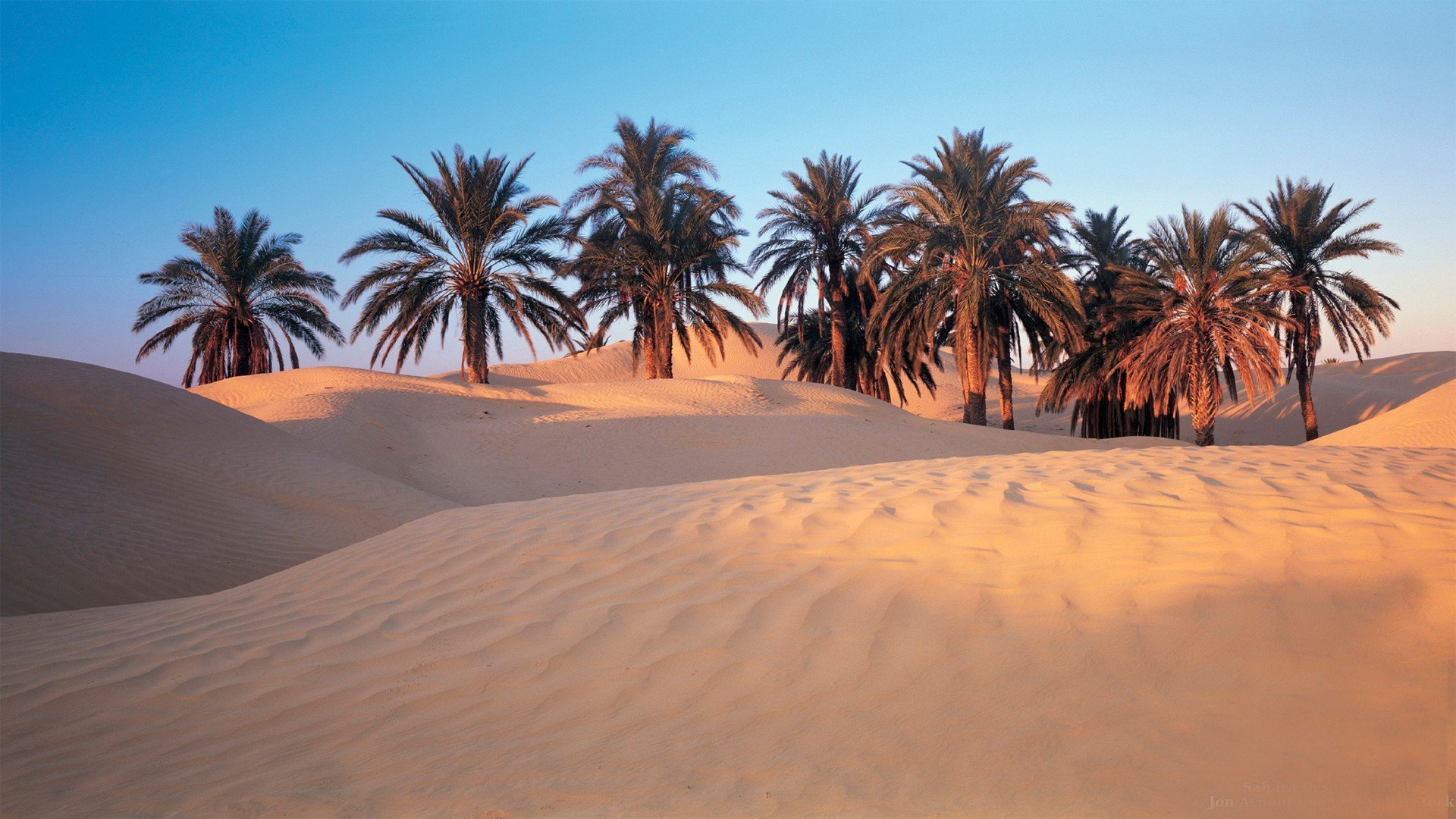 пустыня сахара в тунисе