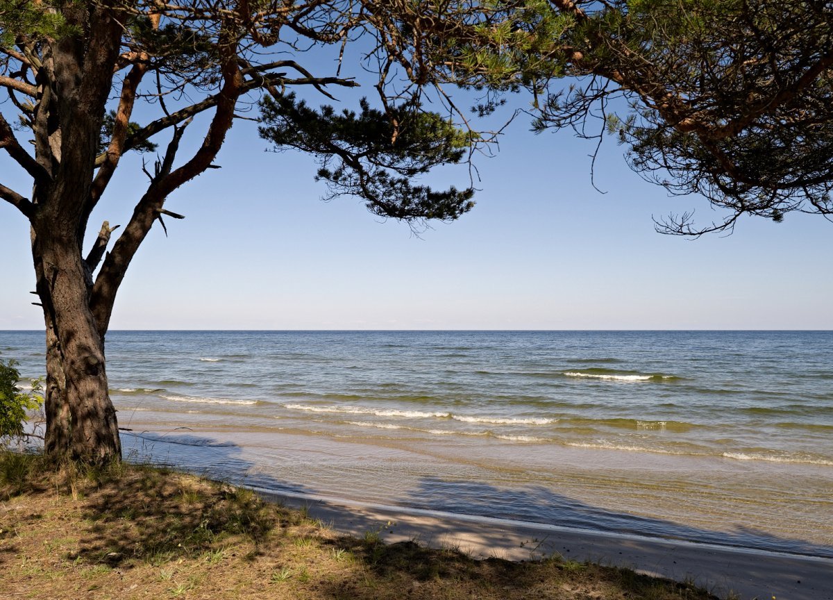 Балтийское море коса Куршская коса