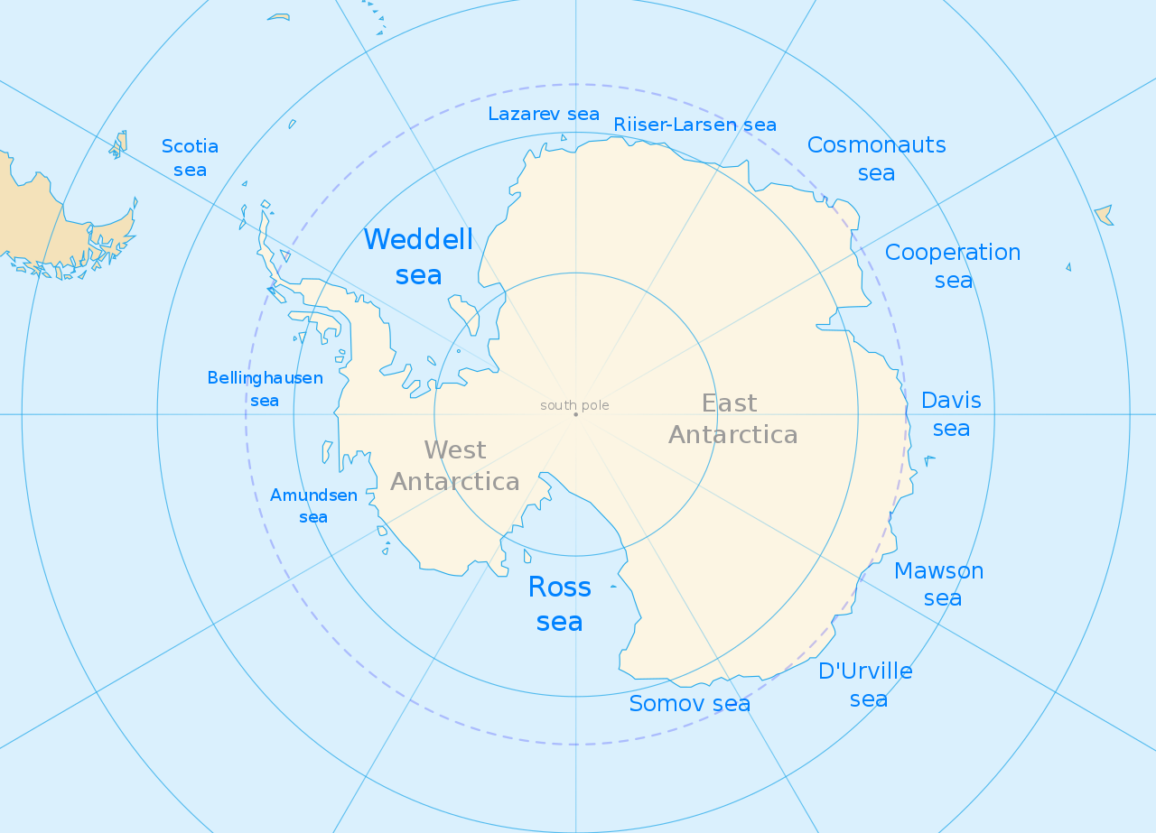 Контурная карта южного океана. Карта Антарктиды моря омывающие Антарктиду. Море Беллинсгаузена — ; море Амундсена —. Море Рисер-Ларсена на карте Антарктиды. Антарктида моря Росса Уэдделла Беллинсгаузена Амундсена.