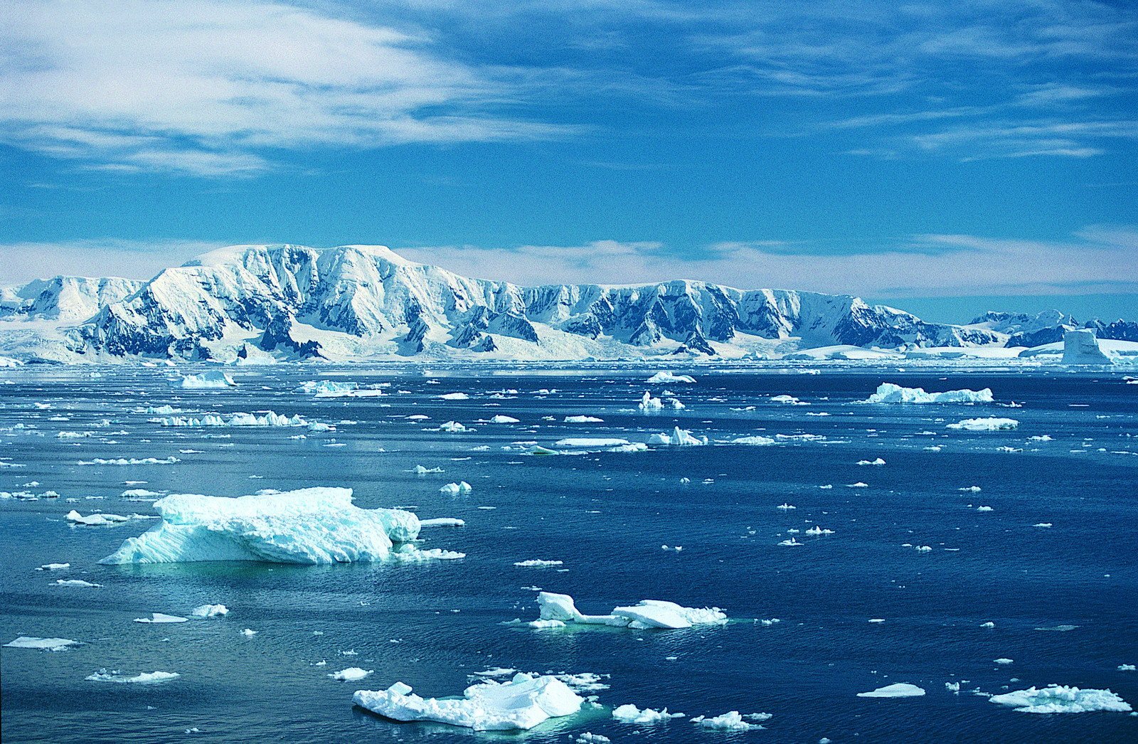 Южный океан природа. Южный Ледовитый океан. Южный антарктический океан. Антарктида Южный океан. Северный Ледовитый и Южный океаны.