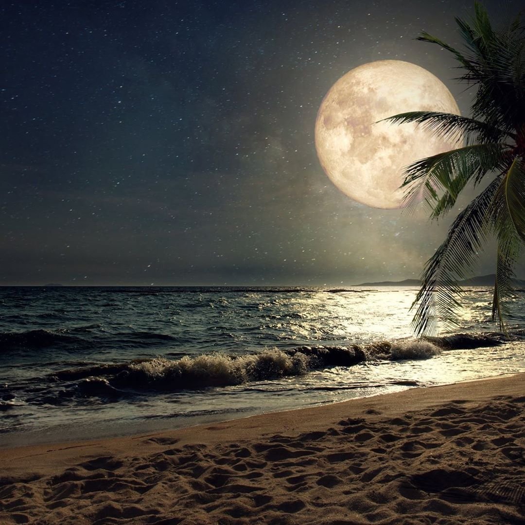 Лунная ночь на море (72 фото) - 72 фото