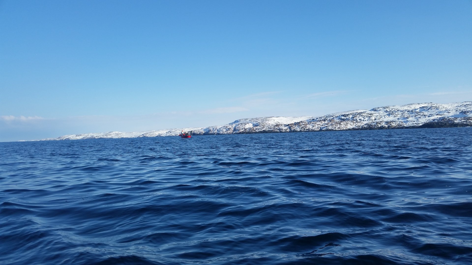 Баренцево море какая вода. Баренцево море Мурманск. Морская прогулка Териберка Баренцево море. Мурманск, Териберка, берег моря. Морская прогулка Териберка Баренцево море зима.