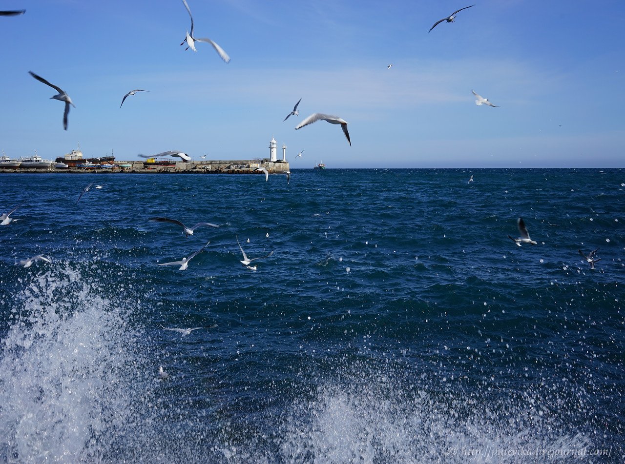 Вид черного моря. Черное море Крым. Черное море Крым Ялта. Херсон фото море. Черное море со стороны Крыма.