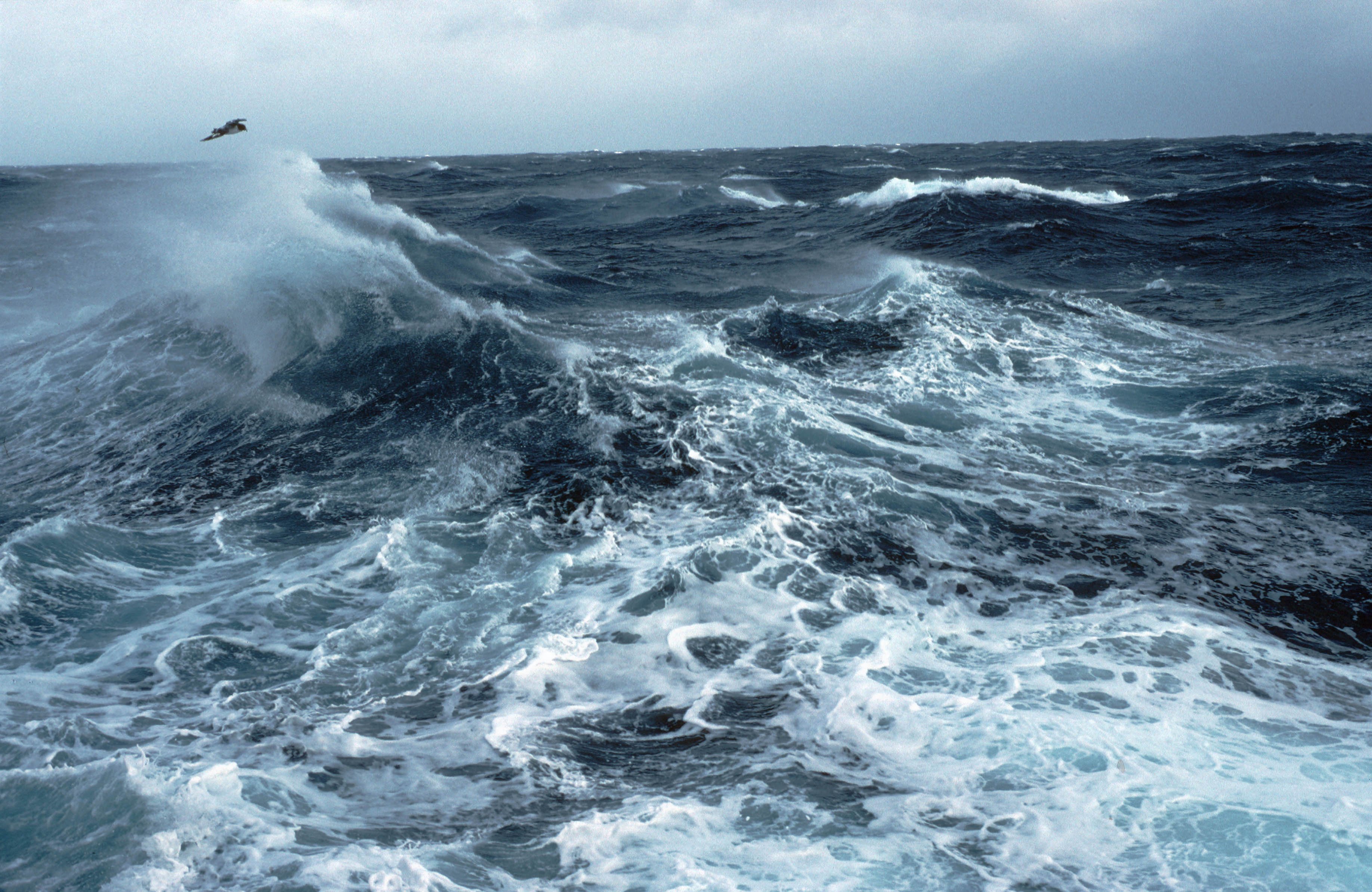 В душе ее вздымались волны ревел. Тихий океан шторм. Атлантический океан шторм. Охотское море шторм. Каспийское море шторм.