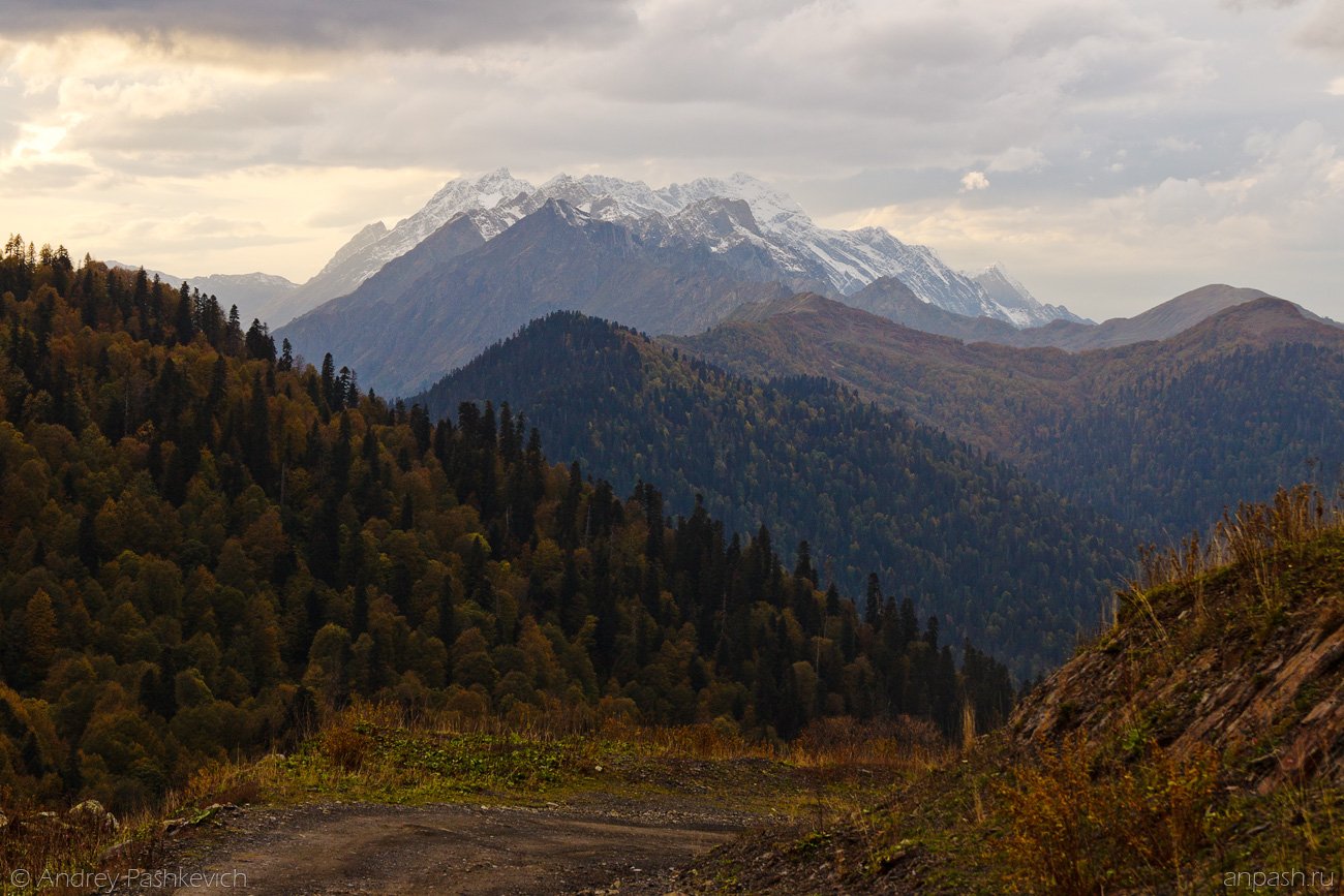 Гора Чха Абхазия